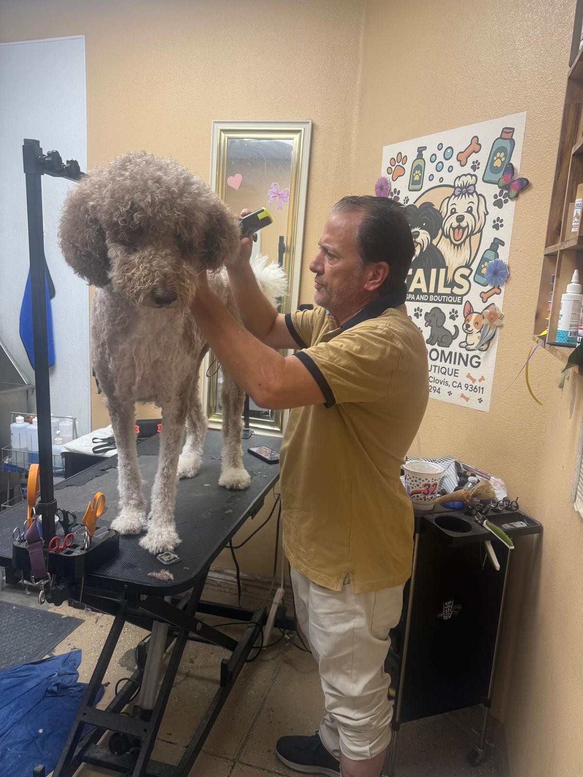 Tails Spa groomer carefully brushing a poodle on the grooming table